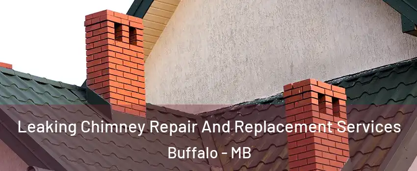  Leaking Chimney Repair And Replacement Services Buffalo - MB