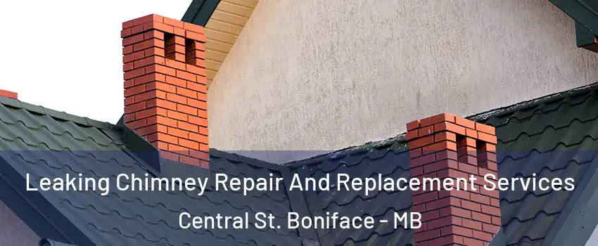  Leaking Chimney Repair And Replacement Services Central St. Boniface - MB