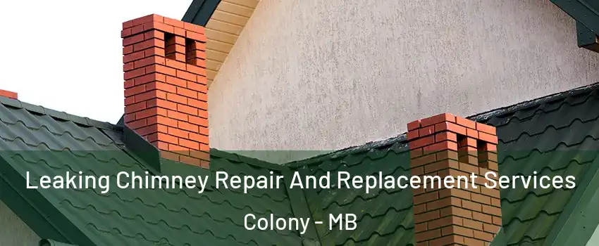  Leaking Chimney Repair And Replacement Services Colony - MB