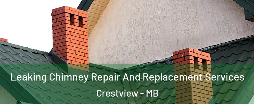  Leaking Chimney Repair And Replacement Services Crestview - MB