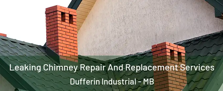  Leaking Chimney Repair And Replacement Services Dufferin Industrial - MB