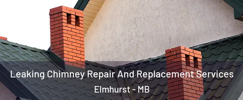  Leaking Chimney Repair And Replacement Services Elmhurst - MB