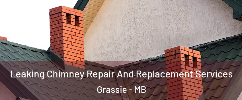  Leaking Chimney Repair And Replacement Services Grassie - MB