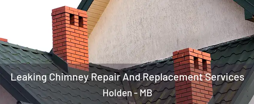  Leaking Chimney Repair And Replacement Services Holden - MB