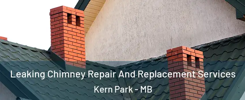  Leaking Chimney Repair And Replacement Services Kern Park - MB