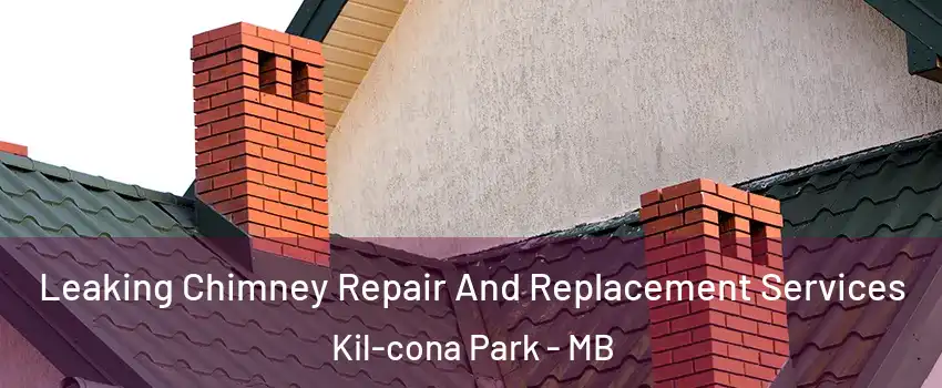  Leaking Chimney Repair And Replacement Services Kil-cona Park - MB