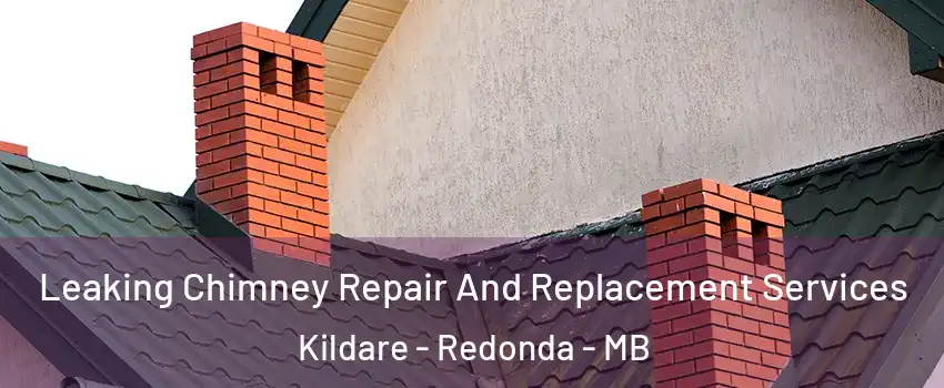  Leaking Chimney Repair And Replacement Services Kildare - Redonda - MB
