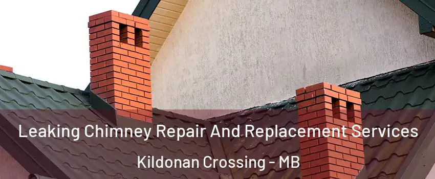  Leaking Chimney Repair And Replacement Services Kildonan Crossing - MB