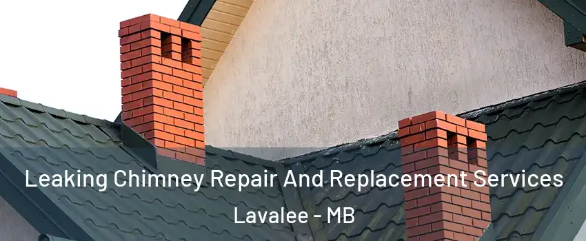  Leaking Chimney Repair And Replacement Services Lavalee - MB