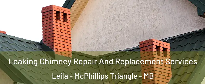  Leaking Chimney Repair And Replacement Services Leila - McPhillips Triangle - MB