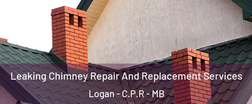  Leaking Chimney Repair And Replacement Services Logan - C.P.R - MB