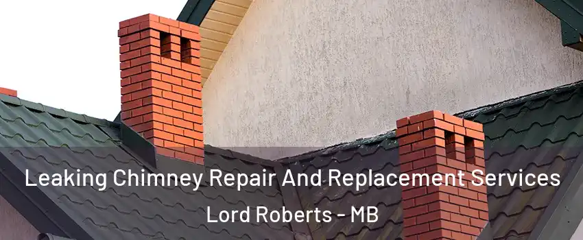  Leaking Chimney Repair And Replacement Services Lord Roberts - MB