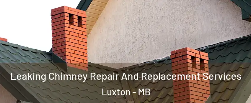  Leaking Chimney Repair And Replacement Services Luxton - MB