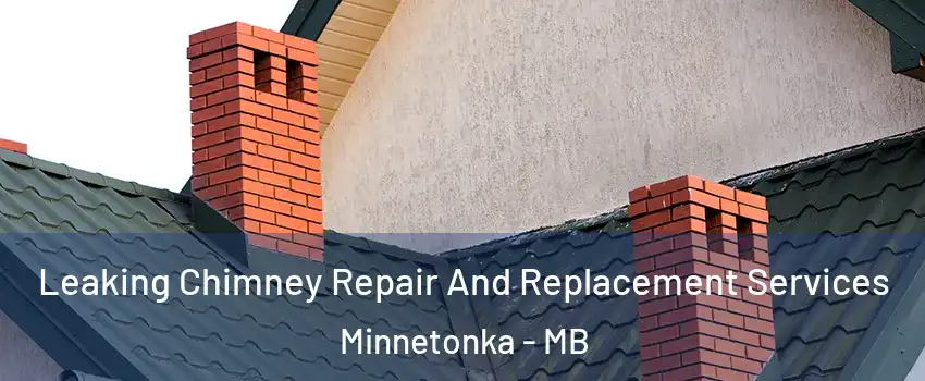  Leaking Chimney Repair And Replacement Services Minnetonka - MB