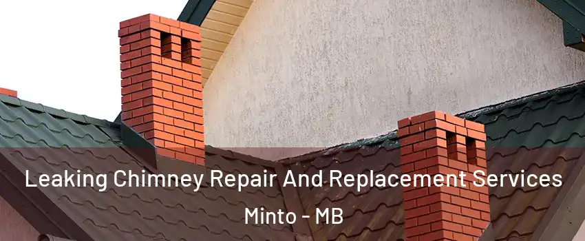  Leaking Chimney Repair And Replacement Services Minto - MB