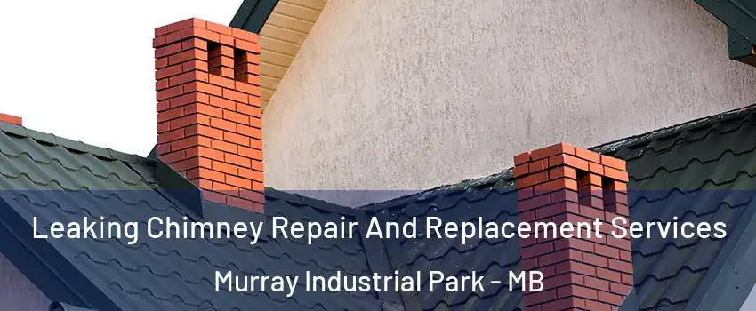 Leaking Chimney Repair And Replacement Services Murray Industrial Park - MB
