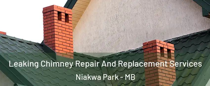  Leaking Chimney Repair And Replacement Services Niakwa Park - MB