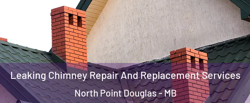  Leaking Chimney Repair And Replacement Services North Point Douglas - MB