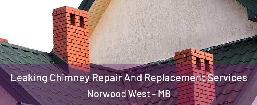  Leaking Chimney Repair And Replacement Services Norwood West - MB