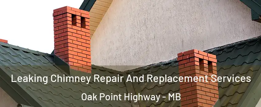  Leaking Chimney Repair And Replacement Services Oak Point Highway - MB