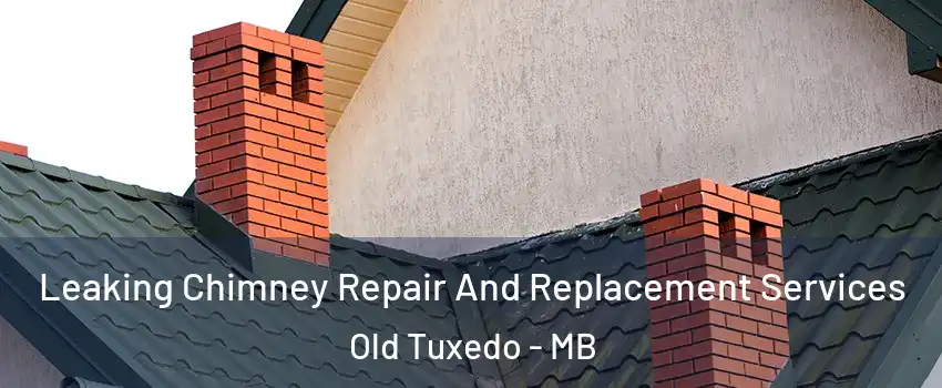  Leaking Chimney Repair And Replacement Services Old Tuxedo - MB