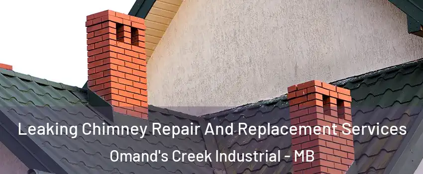  Leaking Chimney Repair And Replacement Services Omand's Creek Industrial - MB