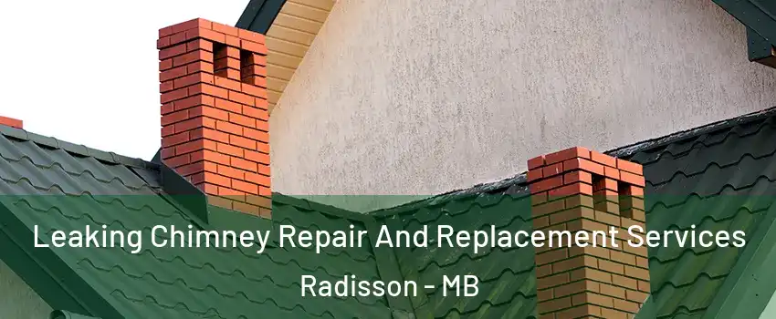  Leaking Chimney Repair And Replacement Services Radisson - MB