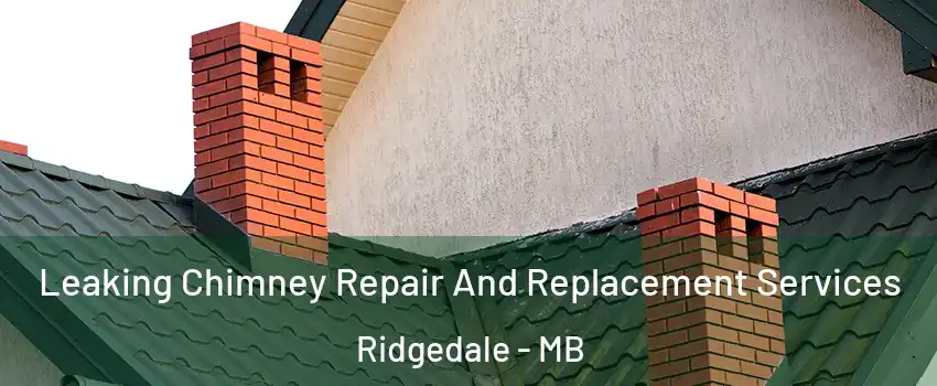  Leaking Chimney Repair And Replacement Services Ridgedale - MB