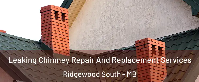  Leaking Chimney Repair And Replacement Services Ridgewood South - MB
