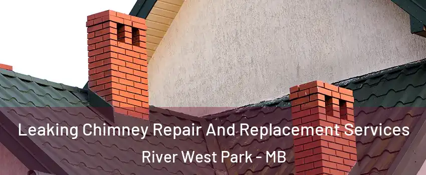  Leaking Chimney Repair And Replacement Services River West Park - MB