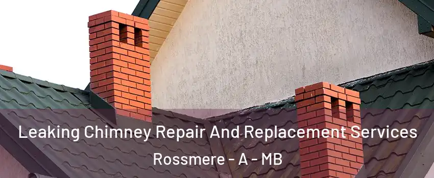  Leaking Chimney Repair And Replacement Services Rossmere - A - MB