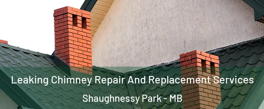  Leaking Chimney Repair And Replacement Services Shaughnessy Park - MB
