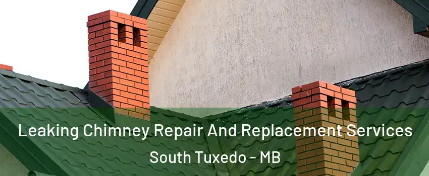  Leaking Chimney Repair And Replacement Services South Tuxedo - MB