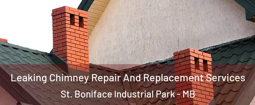  Leaking Chimney Repair And Replacement Services St. Boniface Industrial Park - MB