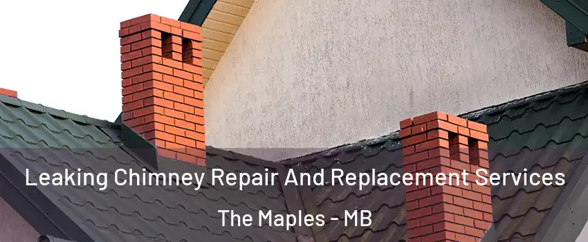  Leaking Chimney Repair And Replacement Services The Maples - MB