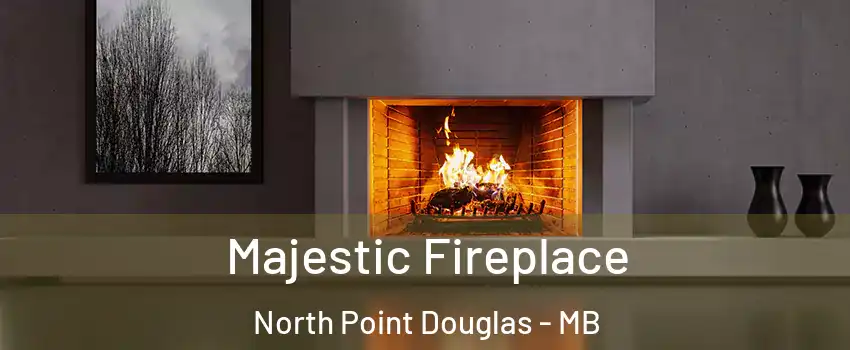  Majestic Fireplace North Point Douglas - MB