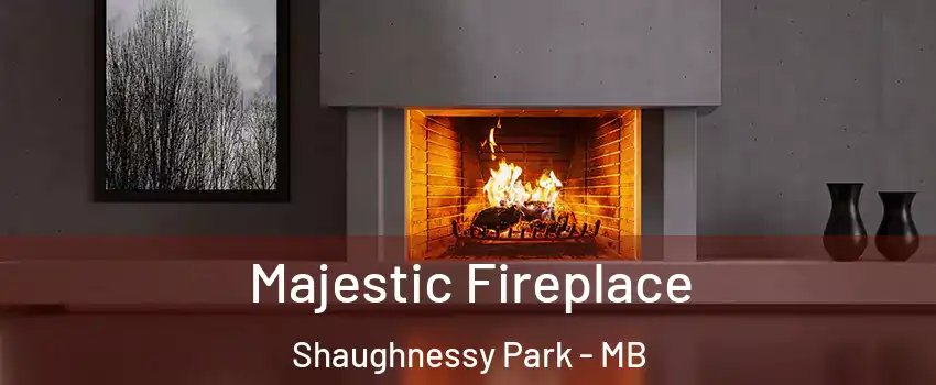  Majestic Fireplace Shaughnessy Park - MB
