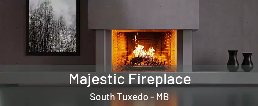  Majestic Fireplace South Tuxedo - MB
