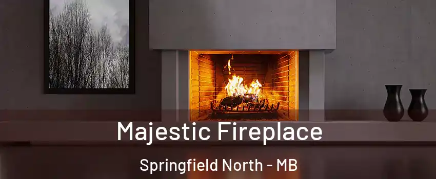  Majestic Fireplace Springfield North - MB