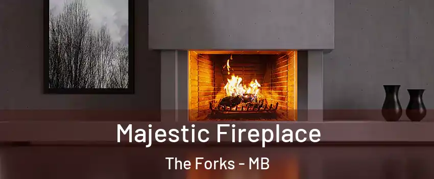 Majestic Fireplace The Forks - MB