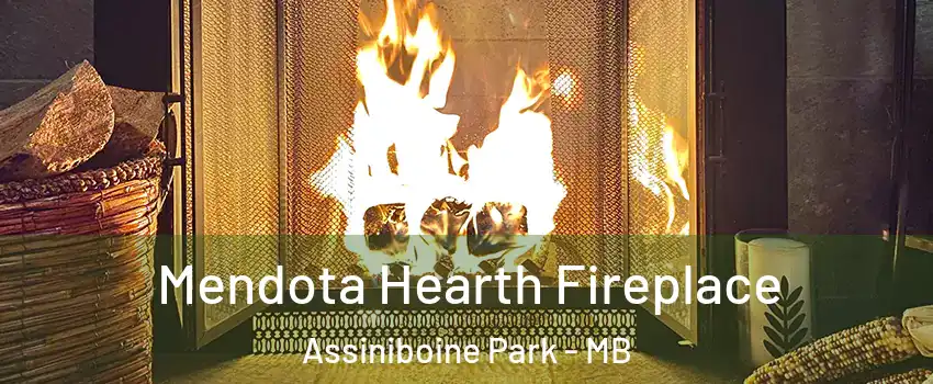  Mendota Hearth Fireplace Assiniboine Park - MB