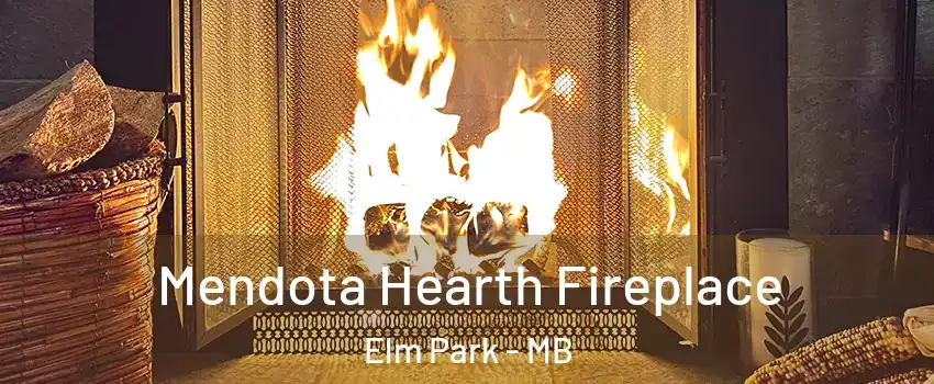 Mendota Hearth Fireplace Elm Park - MB