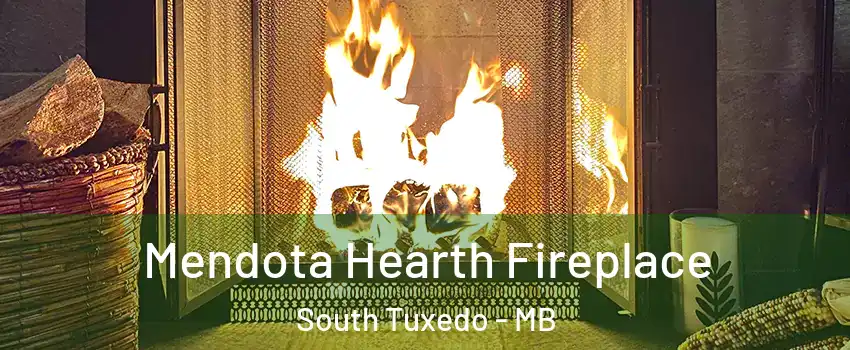  Mendota Hearth Fireplace South Tuxedo - MB