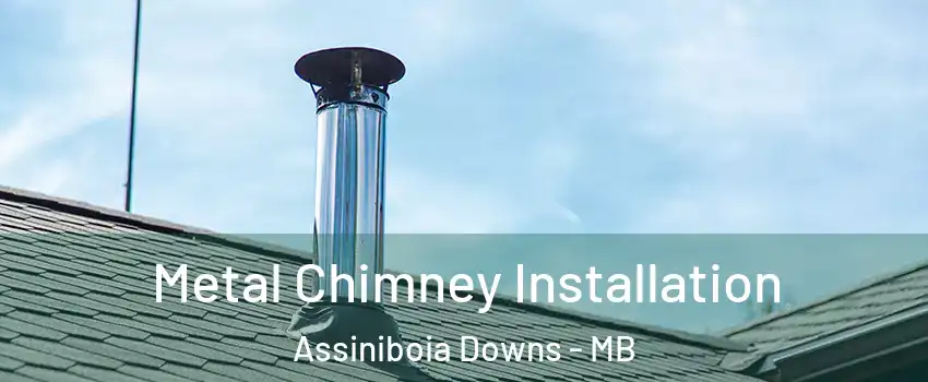  Metal Chimney Installation Assiniboia Downs - MB