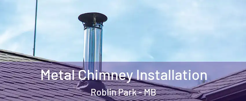  Metal Chimney Installation Roblin Park - MB