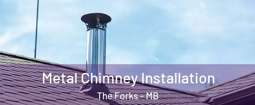  Metal Chimney Installation The Forks - MB