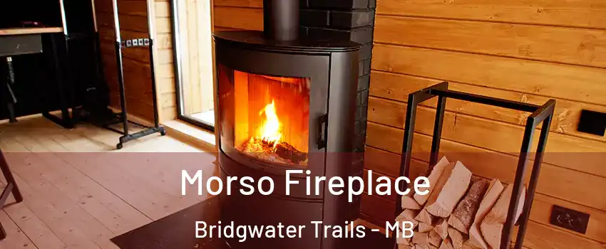  Morso Fireplace Bridgwater Trails - MB