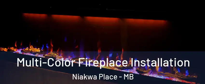  Multi-Color Fireplace Installation Niakwa Place - MB
