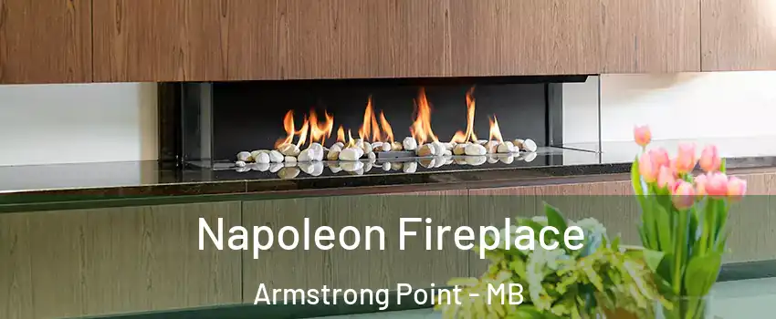  Napoleon Fireplace Armstrong Point - MB
