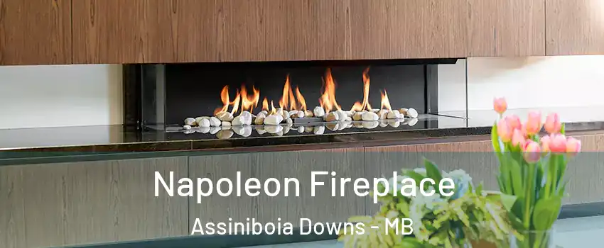  Napoleon Fireplace Assiniboia Downs - MB